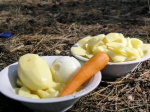 Kraljevsko uho u prirodi