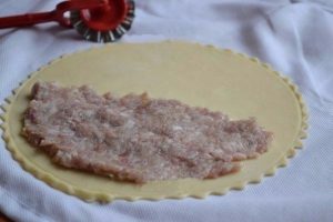 Čebulke sa svinjetinom