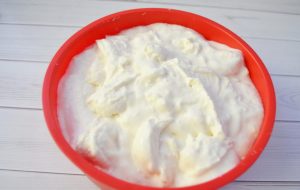 Dijetalna skuta
