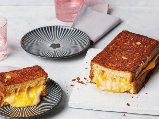 Foto divovski sendvič sa toplim sirom za veliku kompaniju