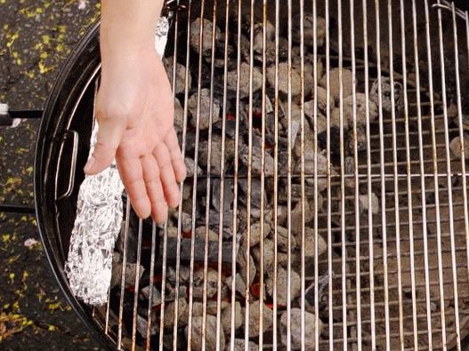 Pripremite roštilj za direktno i indirektno grijanje