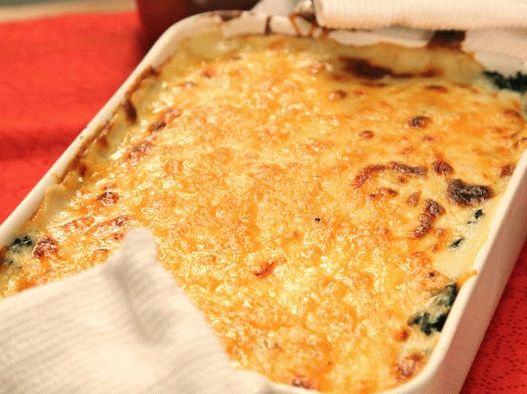 Fotografija Chard Gratin