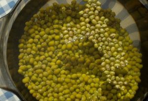 Kharcho s Mash Bean-om
