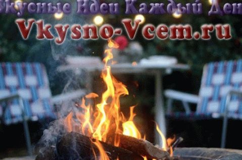 ideje za piknik u šumi