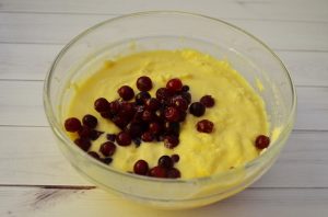 Cranberry Cupcakes