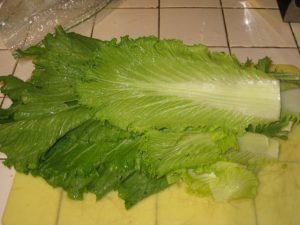 Kimchi