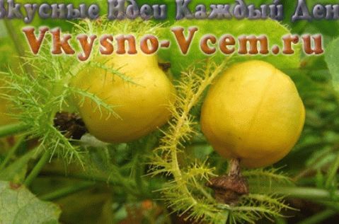 Voće strasti - neka lete iskre!