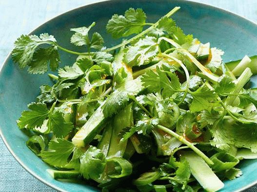Foto začinjena salata od krastavca sa cilantrom i zelenim lukom