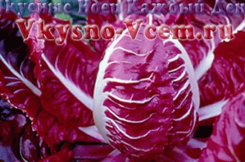 „Korisna