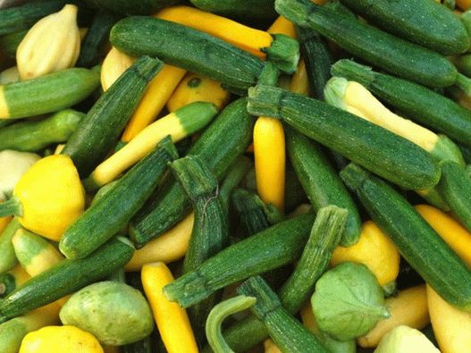 Fotografija - tikvice i bundeva