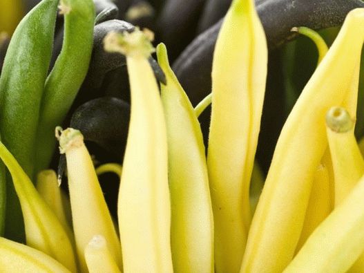 Fotografije - vosak u zrnu