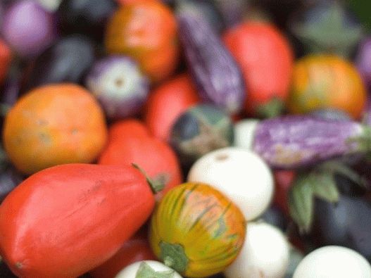 Fotografije - patlidžan