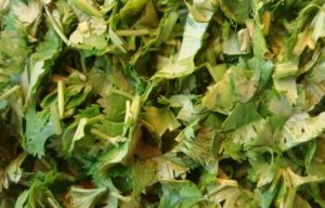 Satsebel na gruzijskom