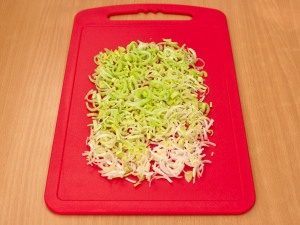 Slojevita salata