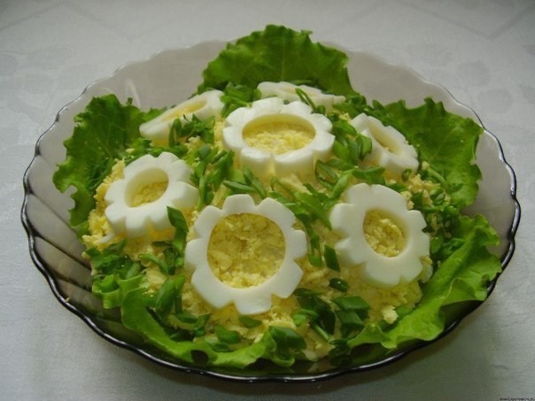 Salata od haringe i riže