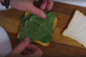 Sendvič sa šunkom i sirom - 0