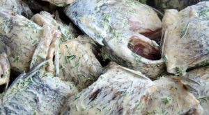 Šiš kebab od krstanskog šarana