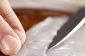 Solyanka sa lignjama