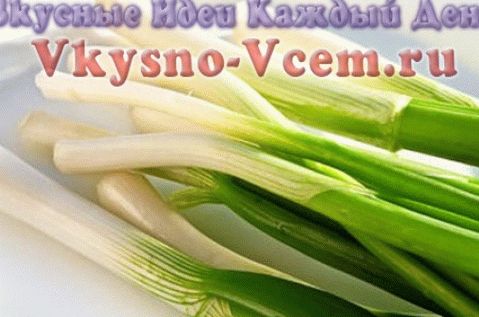 Berba zelenog luka za zimu