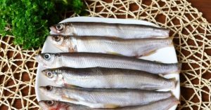 Vendace uho