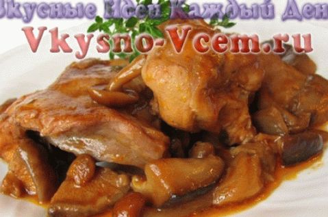 Kunić u sporom kuhalu