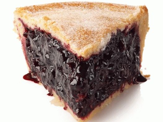 Foto zatvorena pita od borovnica