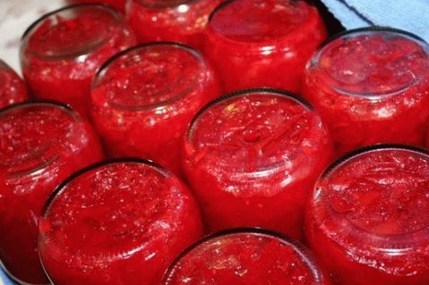 Borsch preljev za zimu