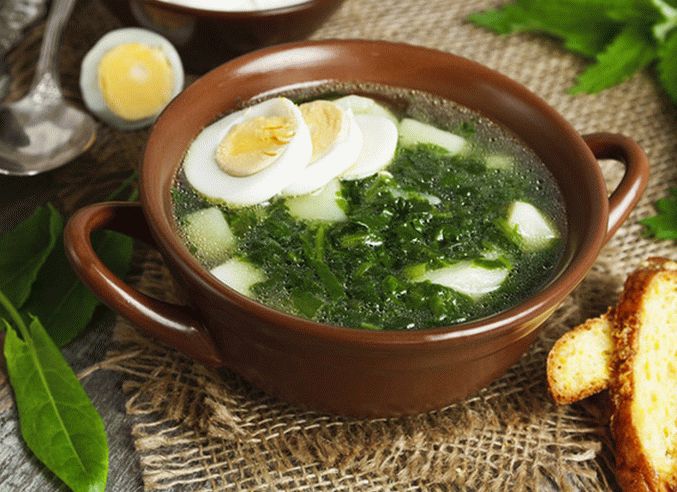 Zeleni borsch